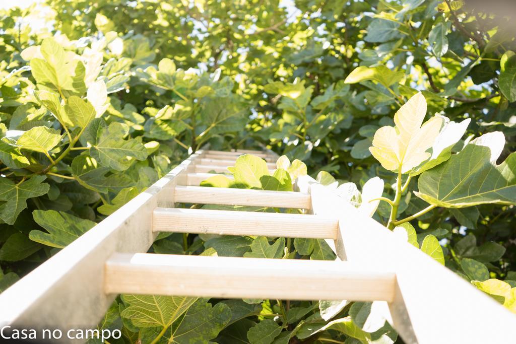 포르토코보 Casa No Campo 호스텔 외부 사진