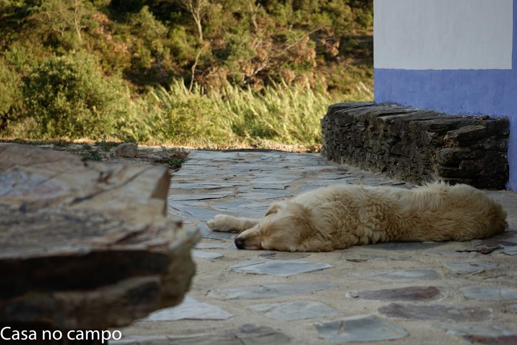 포르토코보 Casa No Campo 호스텔 외부 사진